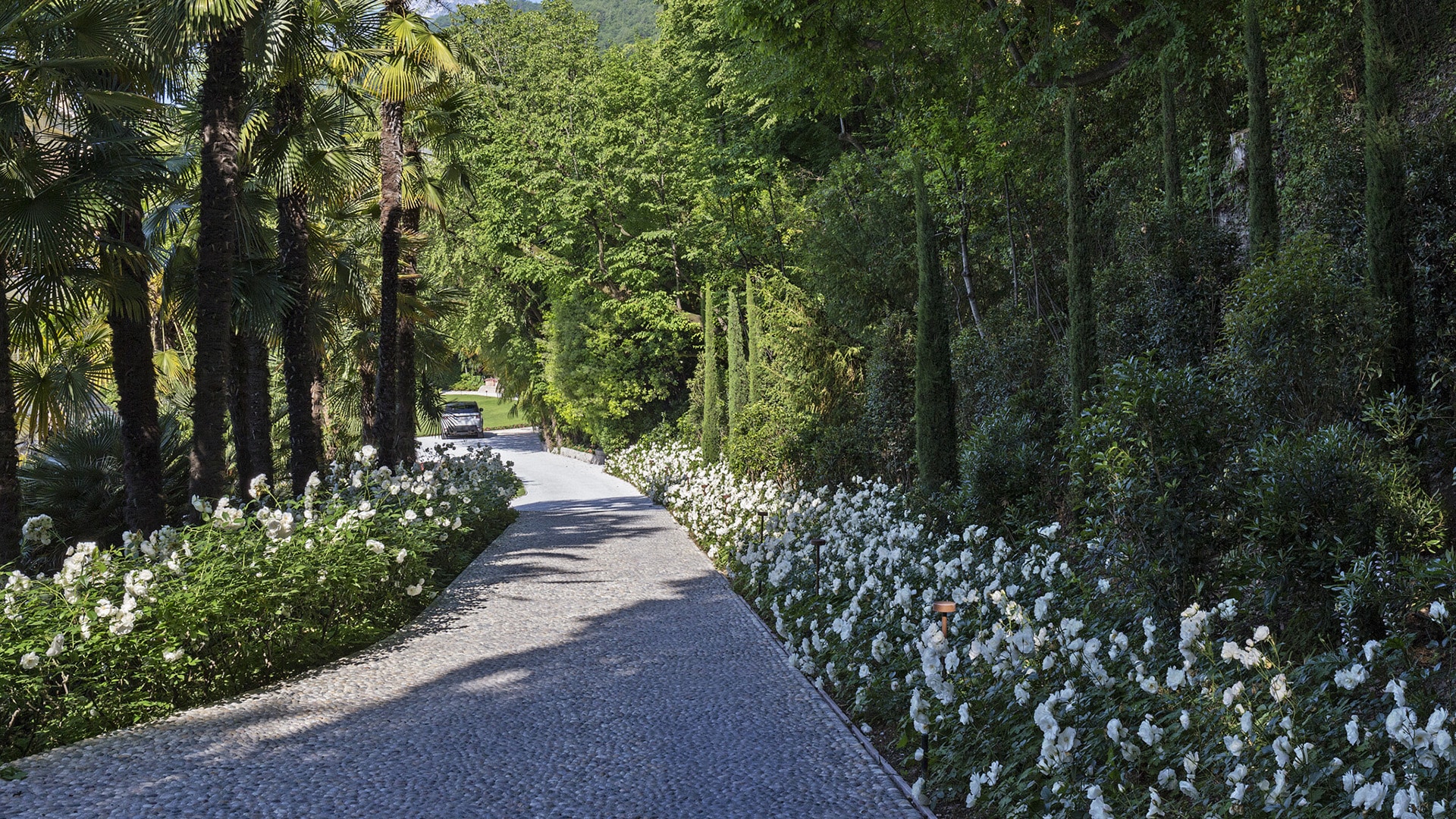 Giardino con palme, rose e vialetto in ciottoli in contesto storico a Gargnano
