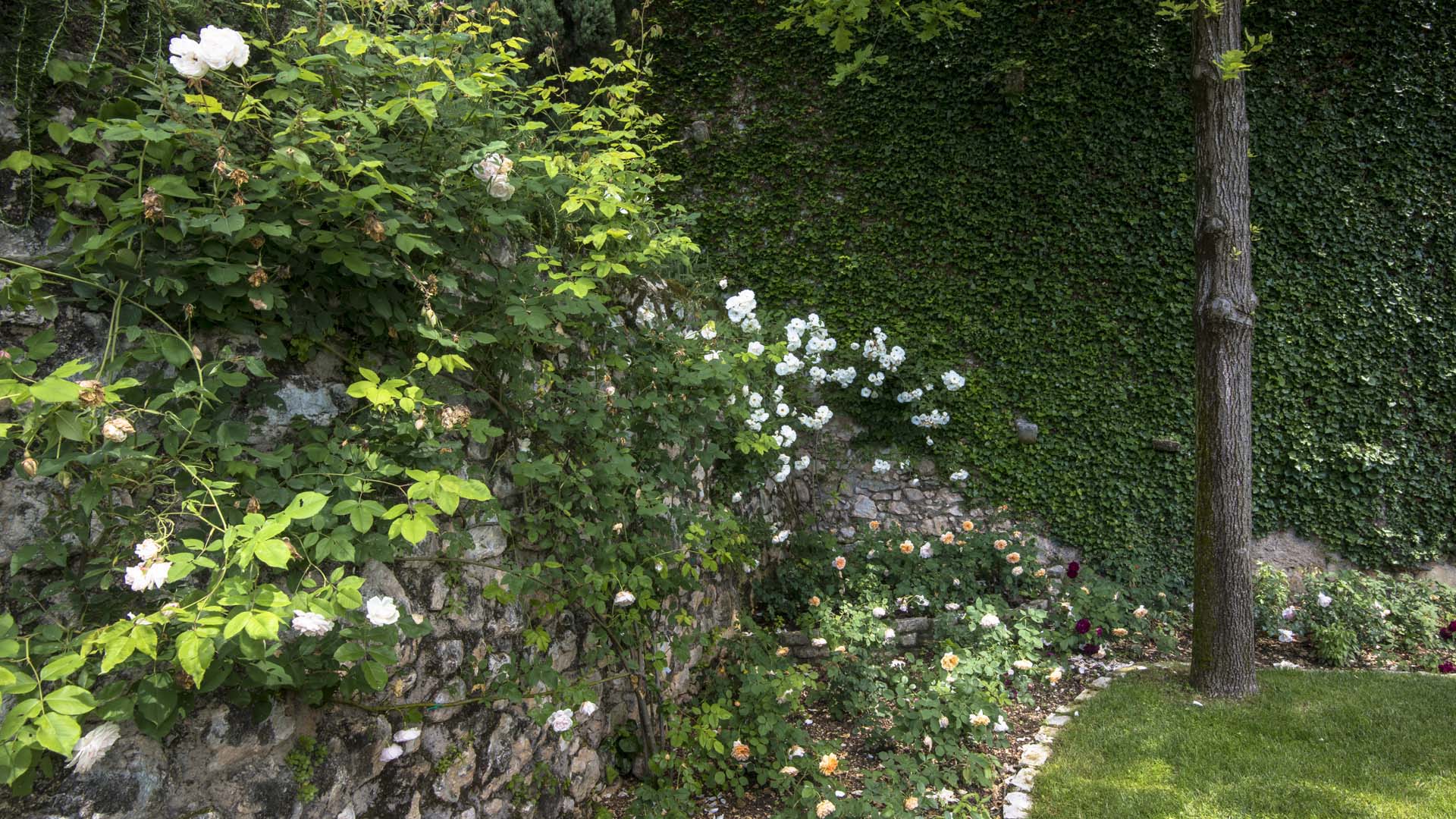 Giardino naturalistico con fontana in pietra e parete vegetale rampicante a Gargnano