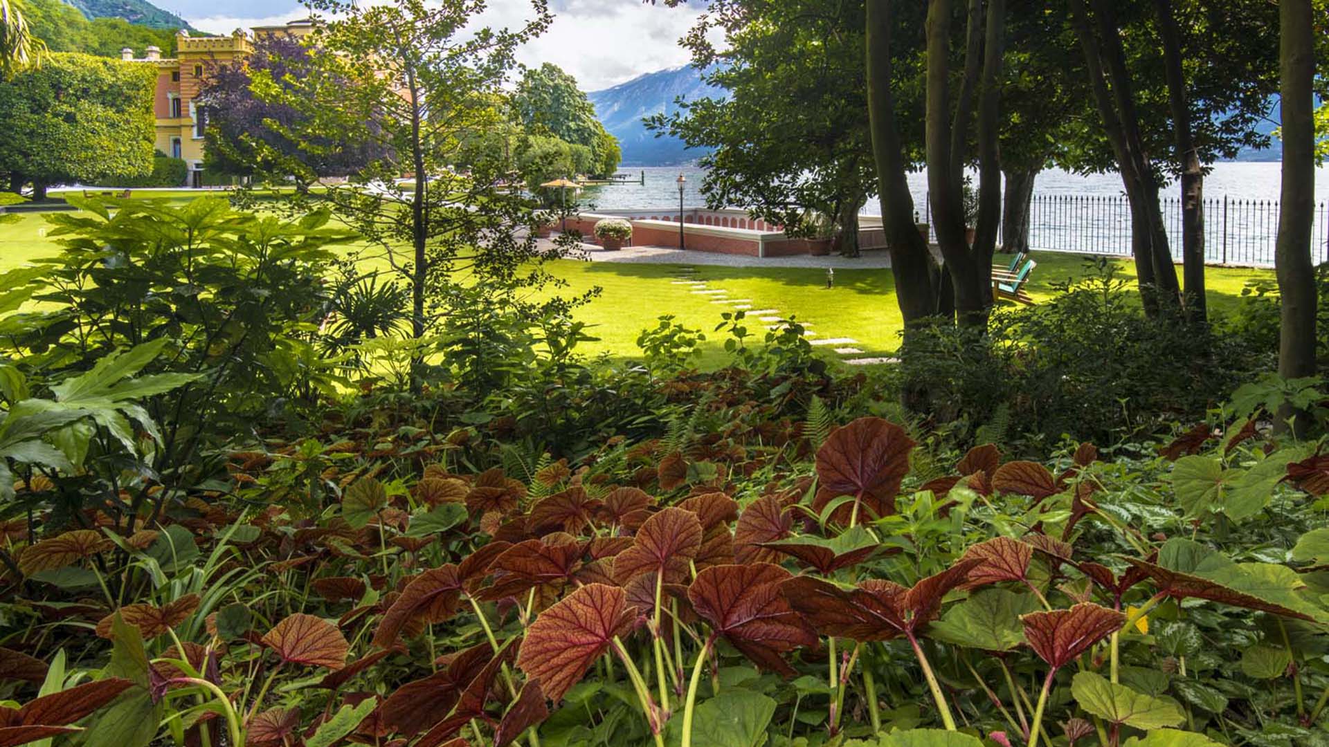 Sentiero in pietra tra piante tropicali e ornamentali in giardino naturalistico a Gargnano