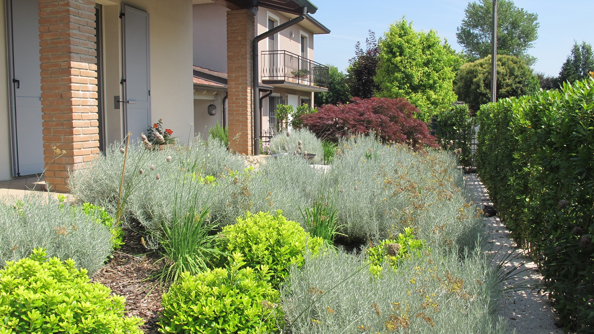 Giardino naturalistico con piante mediterranee, ghiaietto e bordure in corten in contesto residenziale a Manerbio