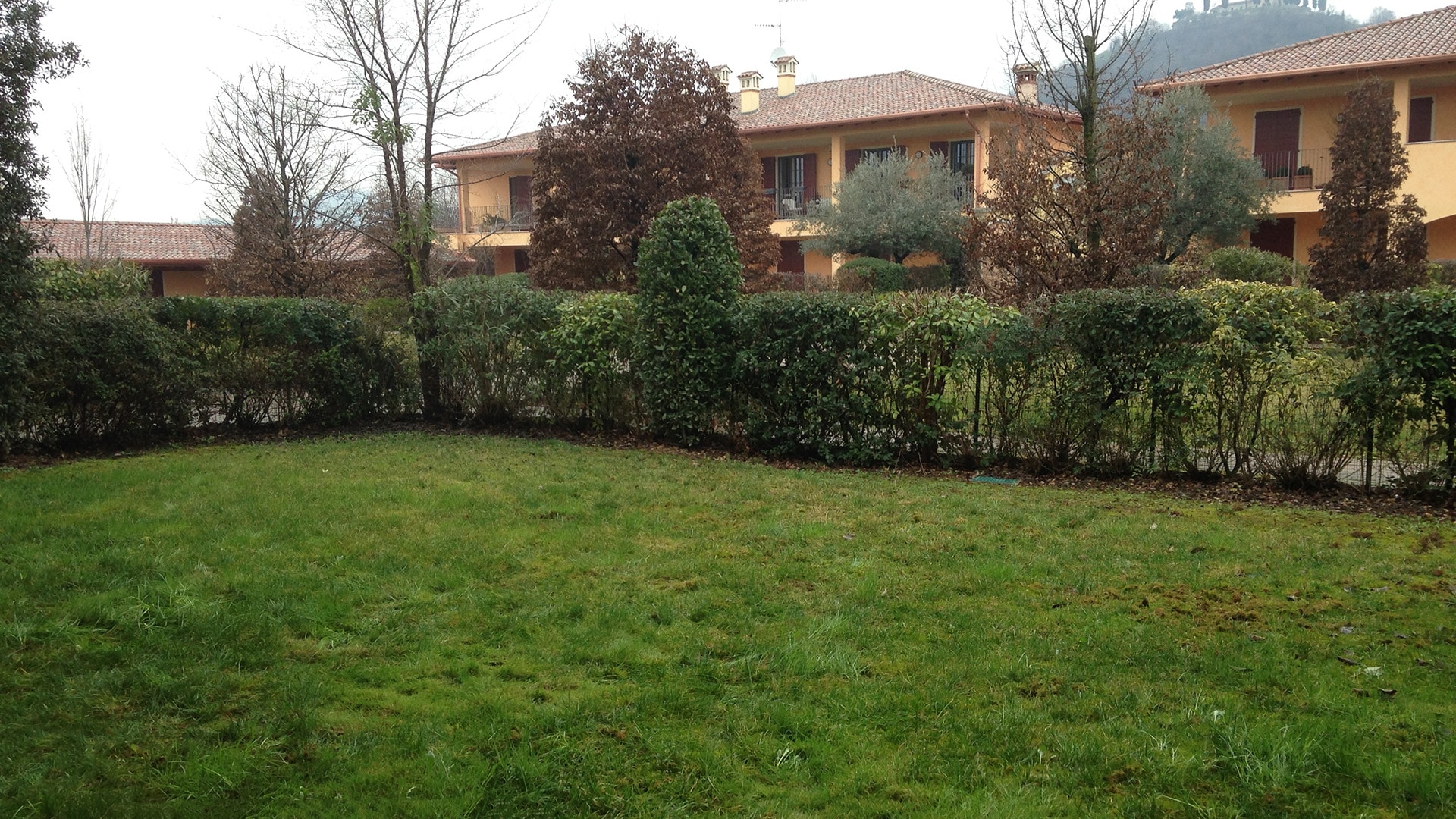Giardino verde di una casa privata