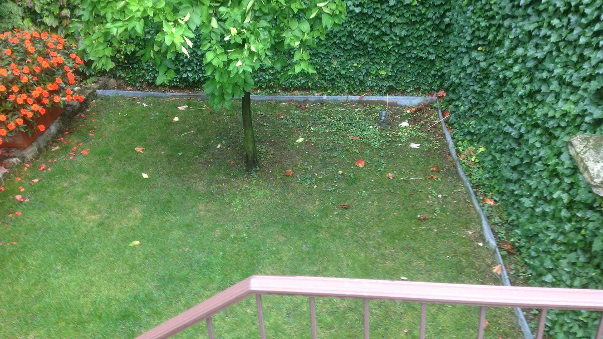 Angolo di verde in un giardino