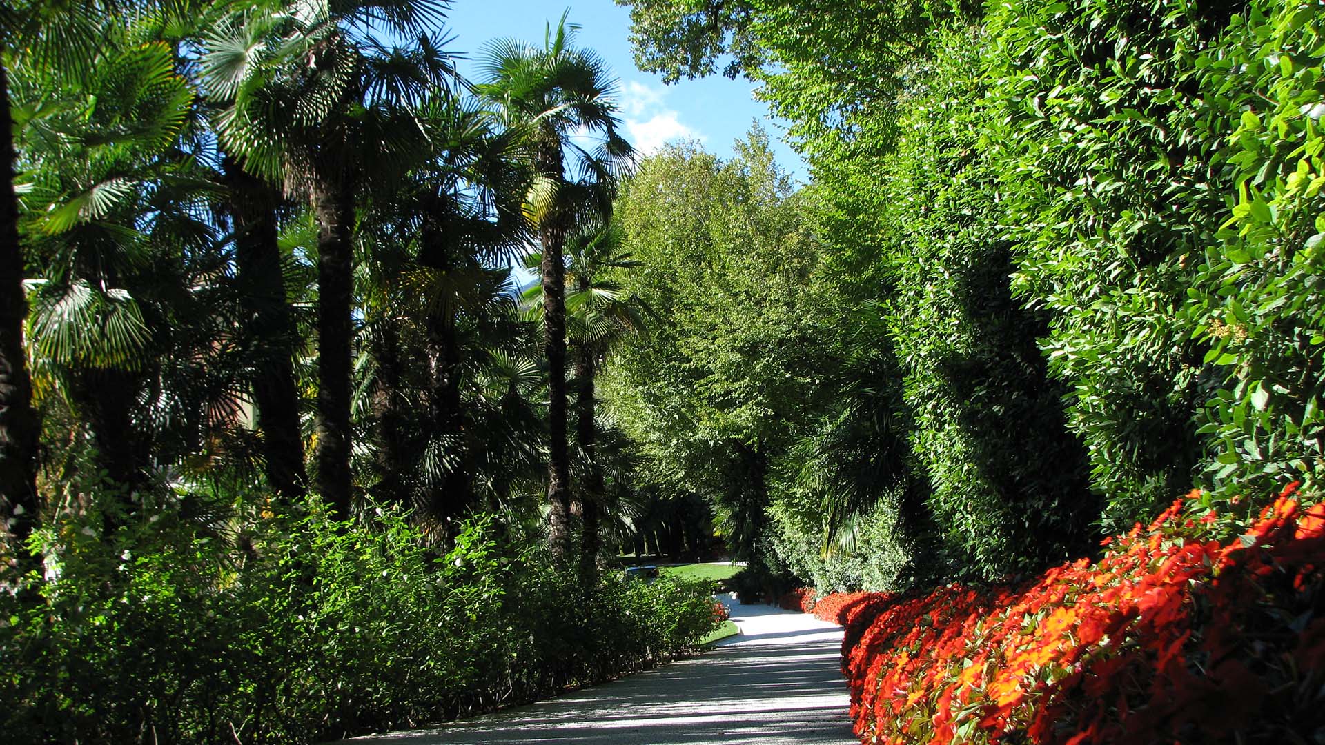 Vegetazione d’ombra e camminamento in pietra in giardino storico con impianto d’irrigazione