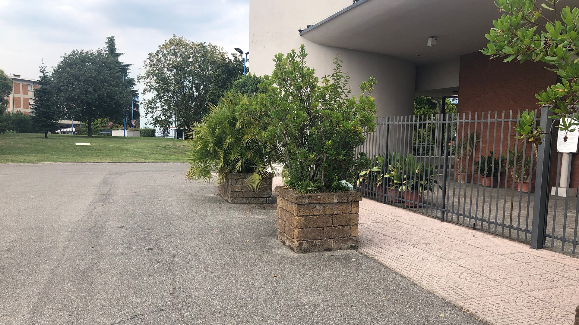 piante ornamentali da ingresso