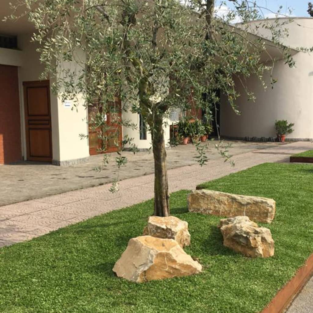 Rinnovo di un'area verde