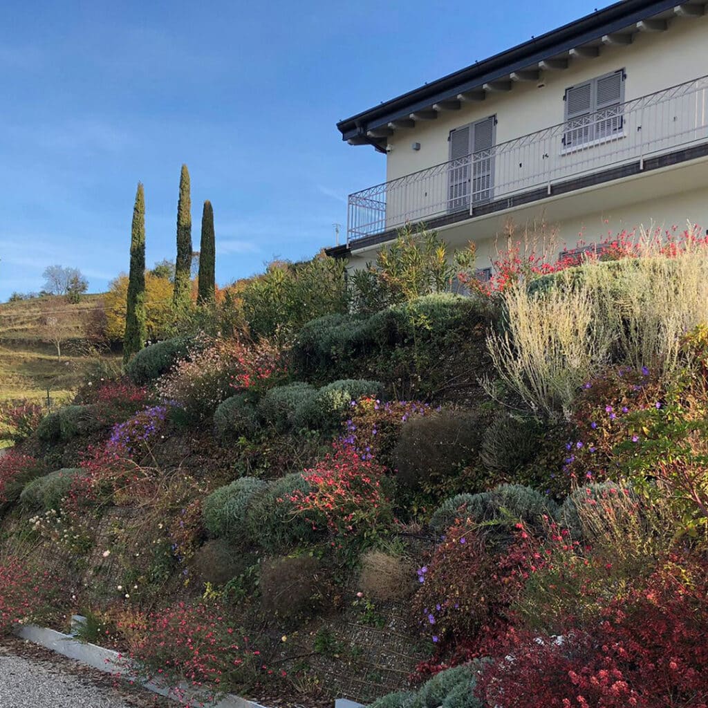 Slope garden con piante mediterranee e fioriture stagionali