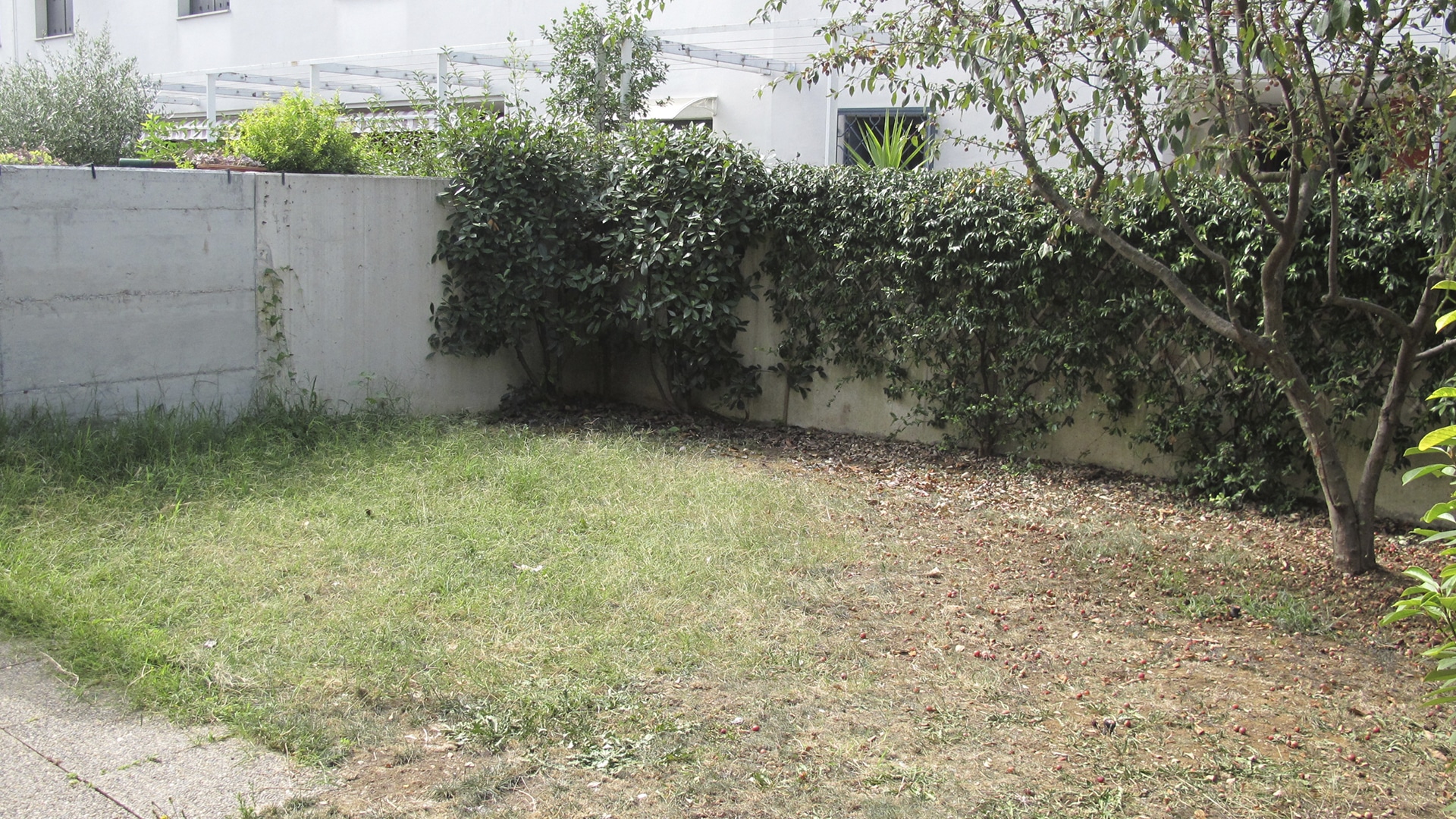 Giardino prima della riqualificazione Giardino con prato diradato e piante non curate prima dell’intervento
