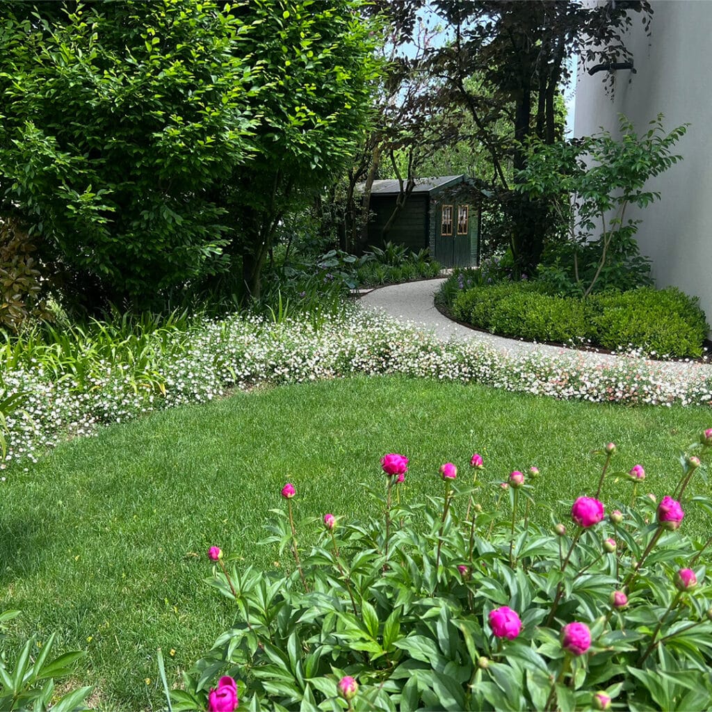 Giardino naturalistico con peonie fucsia e sentiero curvo in ghiaia