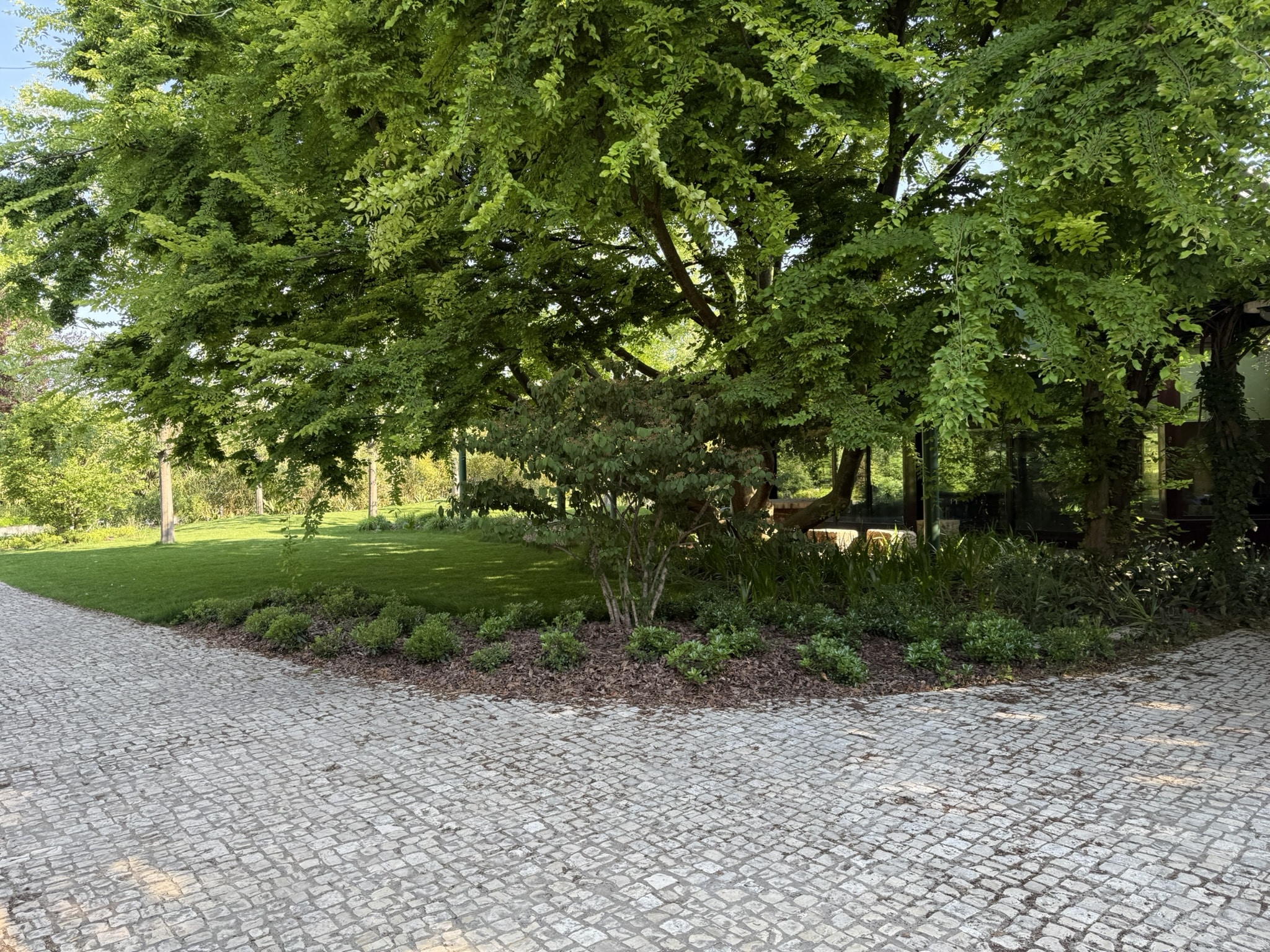 Giardino residenziale con alberature mature, prato naturale e percorso in cubetti di pietra.