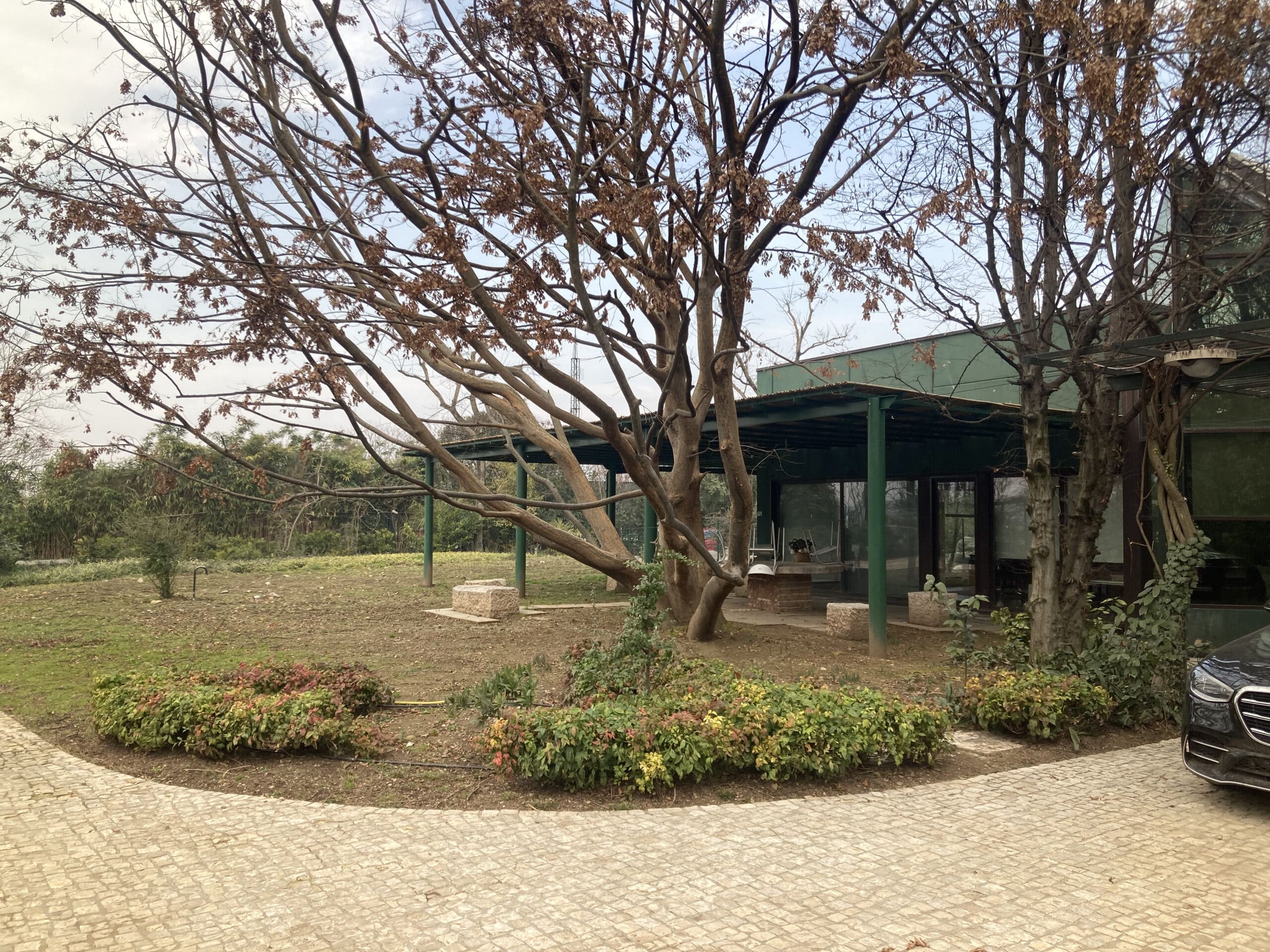 Giardino residenziale in fase di riqualificazione con alberature mature e porticato contemporaneo.