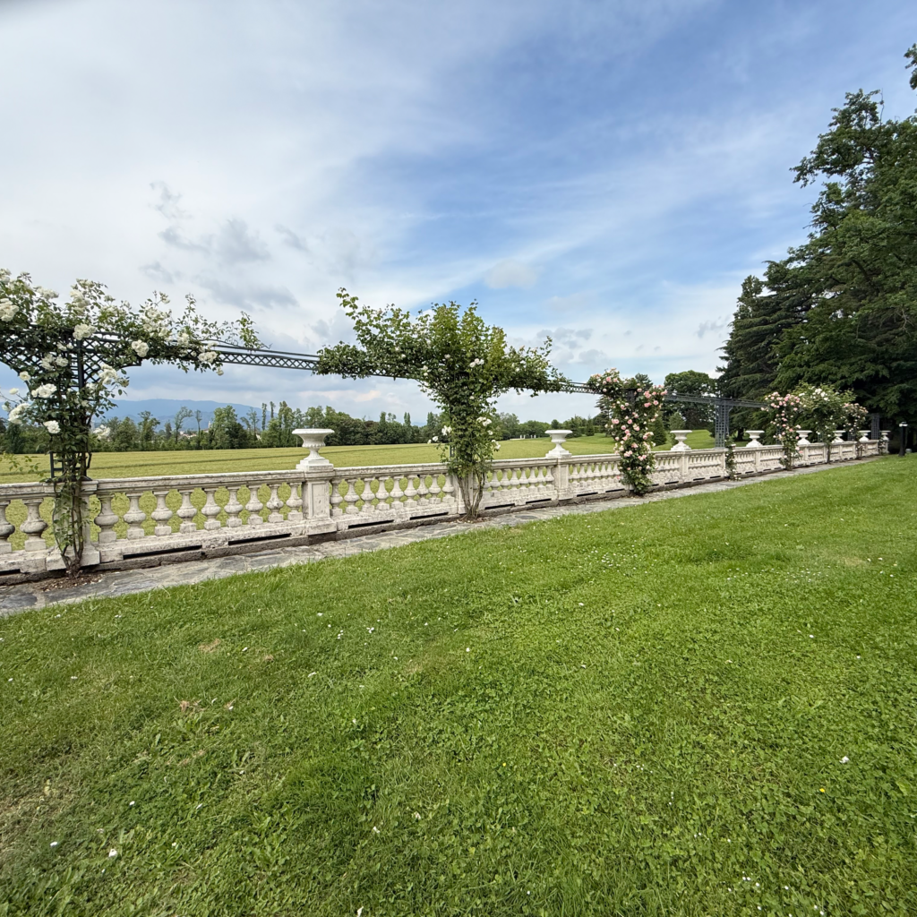 Giardino naturalistico realizzato da Grechi Giardini